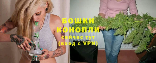 гашик Дмитриев