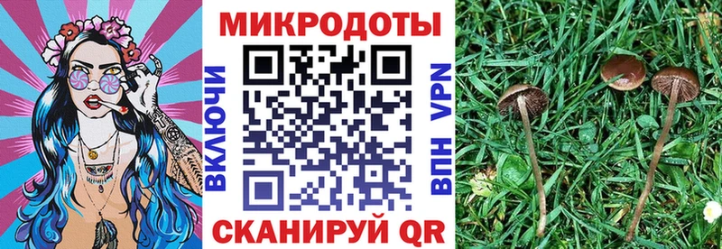 Галлюциногенные грибы Magic Shrooms  Касимов 